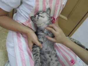 シャンプーもも４