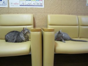 考え中 (3)