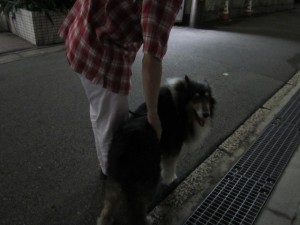 ビスタムーサ (6)