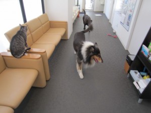 ビスタムーサ (2)