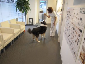 ビスタムーサ (3)