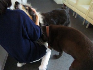 ビスタムーサ２