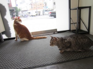 ロティ (7)