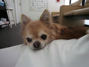 きよラッキー (2)