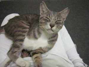 ベンジャミン (5)