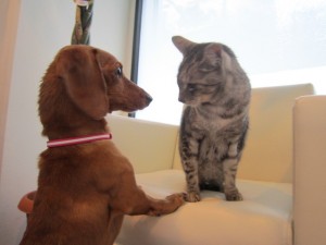 バーディ5 バーディ5