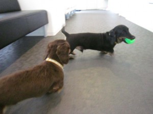 しょうたん・ちゃあたん 4