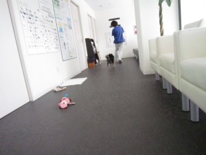 エル2